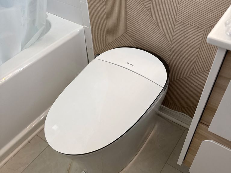 Brand New Toilet Install